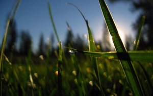 技术全方位解析